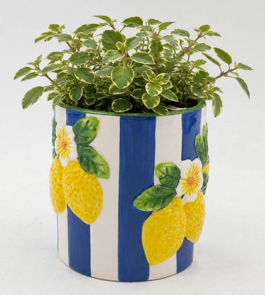 Lemoncello Planter Blue - 10cm