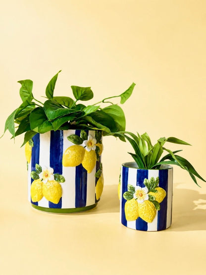Lemoncello Planter Blue - 10cm