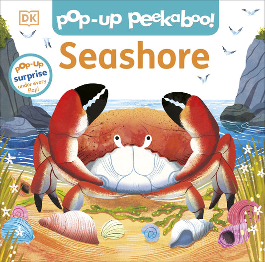 Pop-up Peekaboo! Seashore