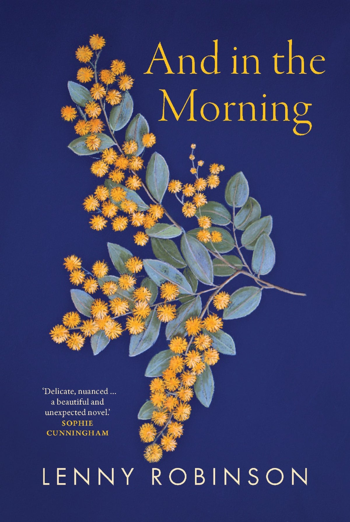 And In The Morning - Lenny Robinson