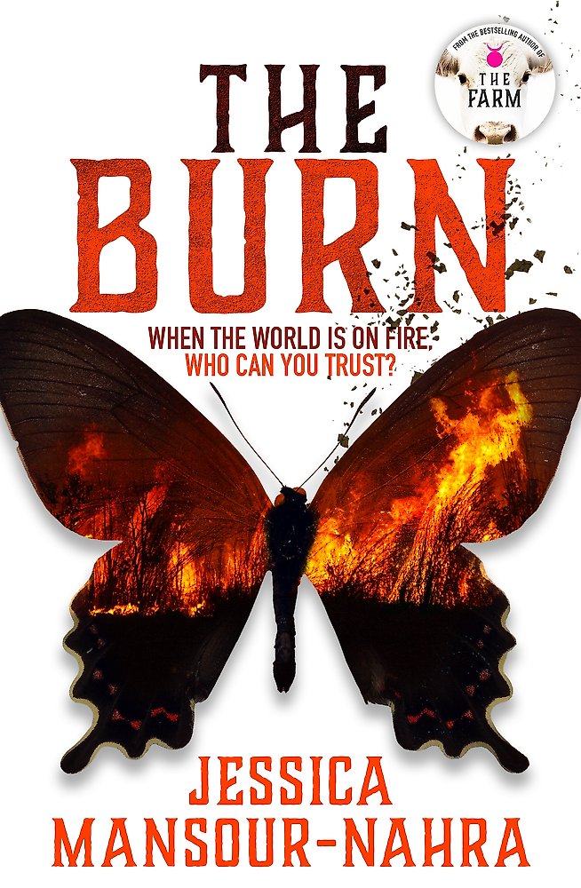 The Burn - Jessica Mansour-nahra