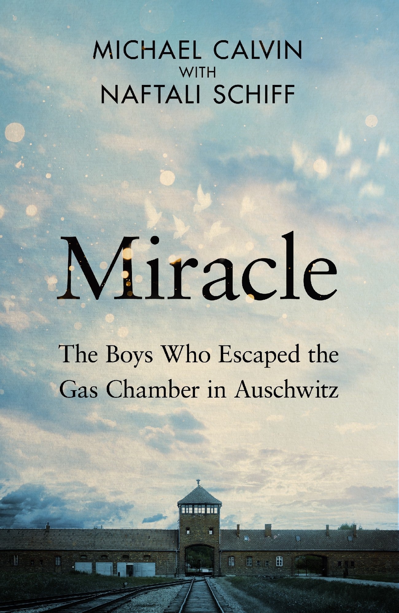 Miracle - Michael Calvin