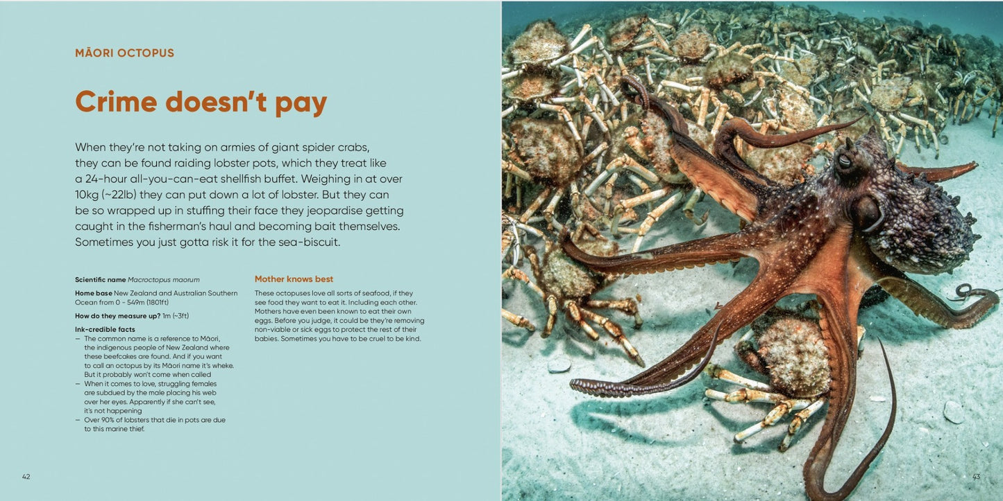 Octopuses Underwater Wonders