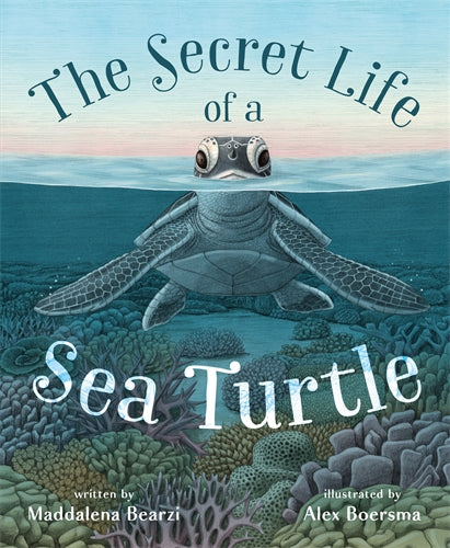 The Secret Life Of A Sea Turtle - Maddalena Bearzi