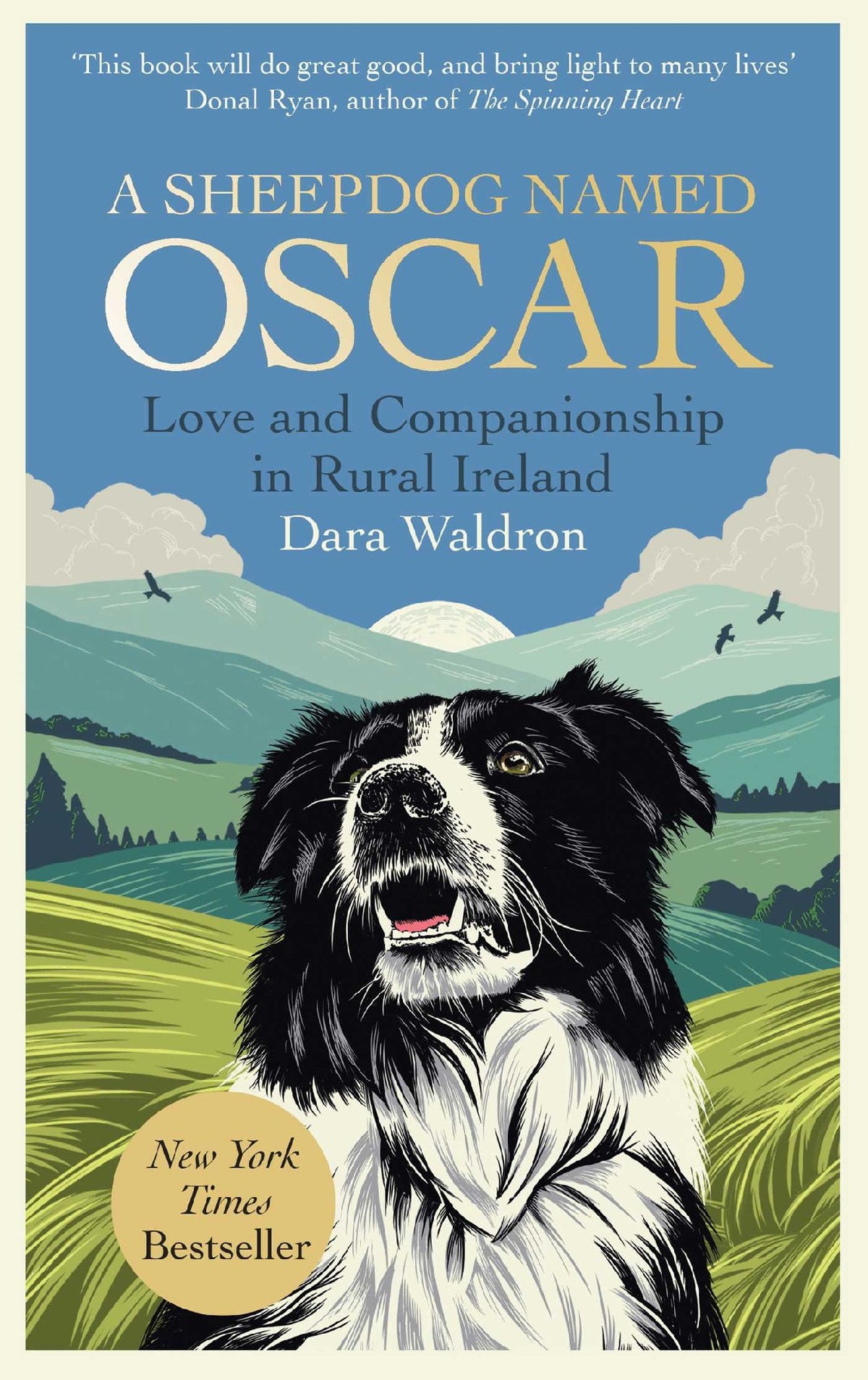 Sheepdog Named Oscar - Dara Waldron