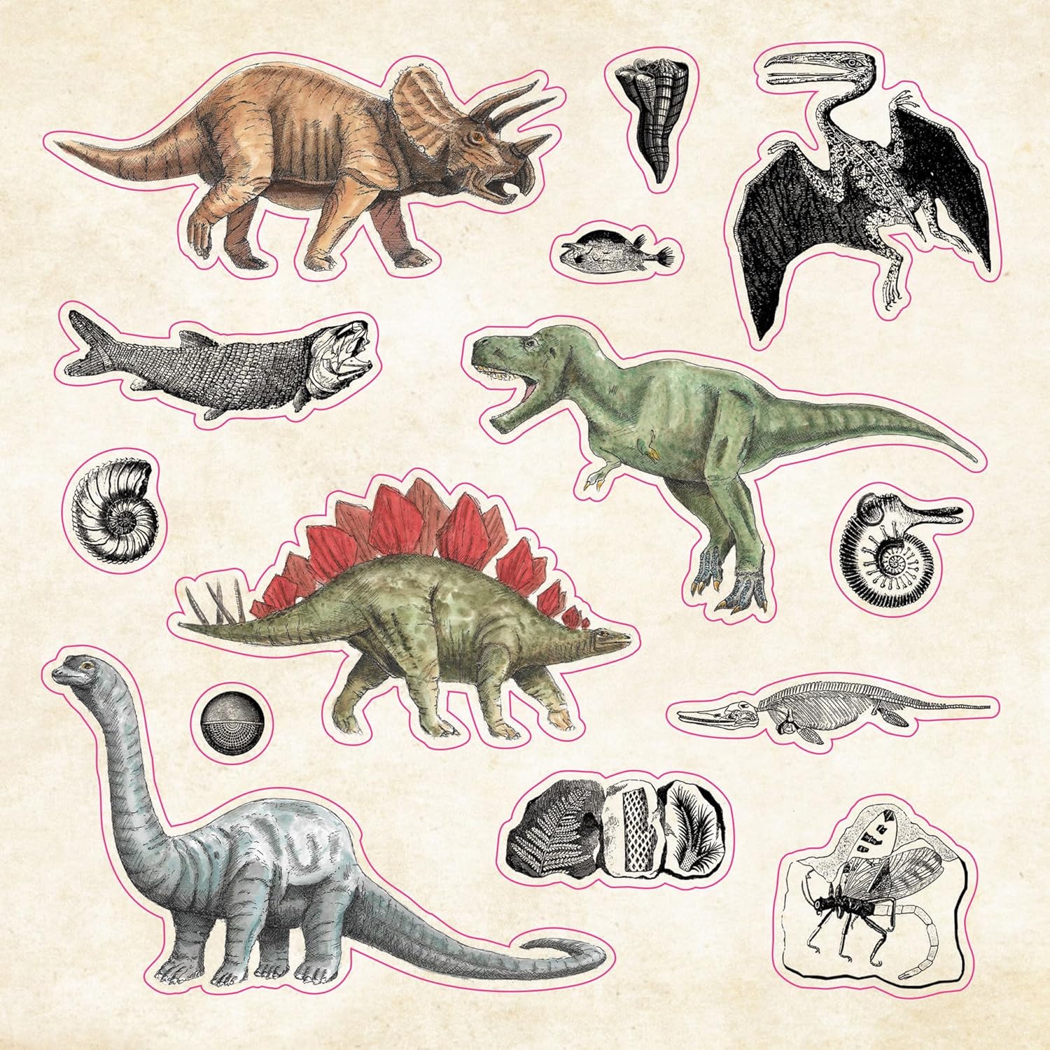 The Sticker Book Of Curiosities