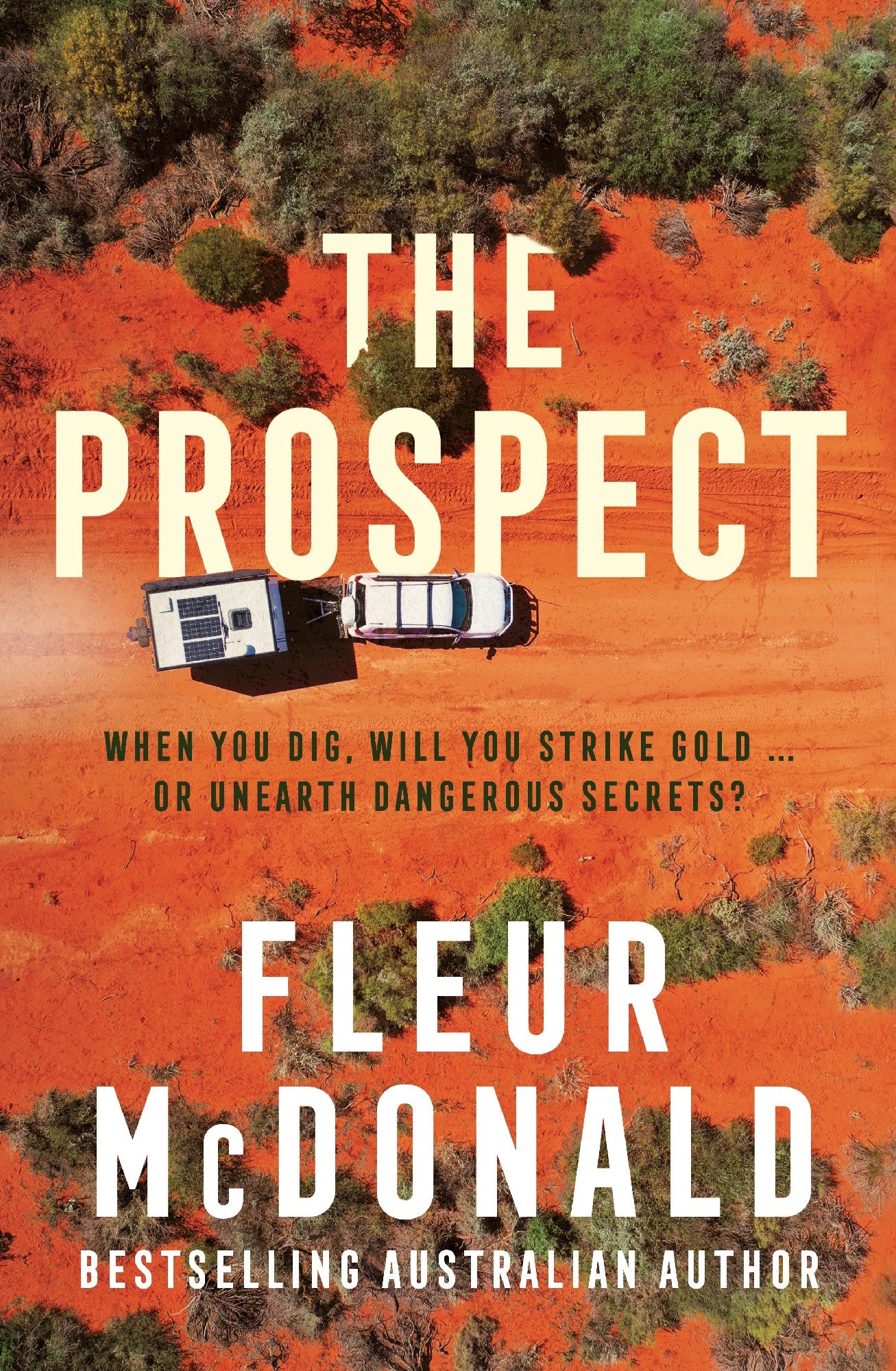 The Prospect - Fleur Mcdonald