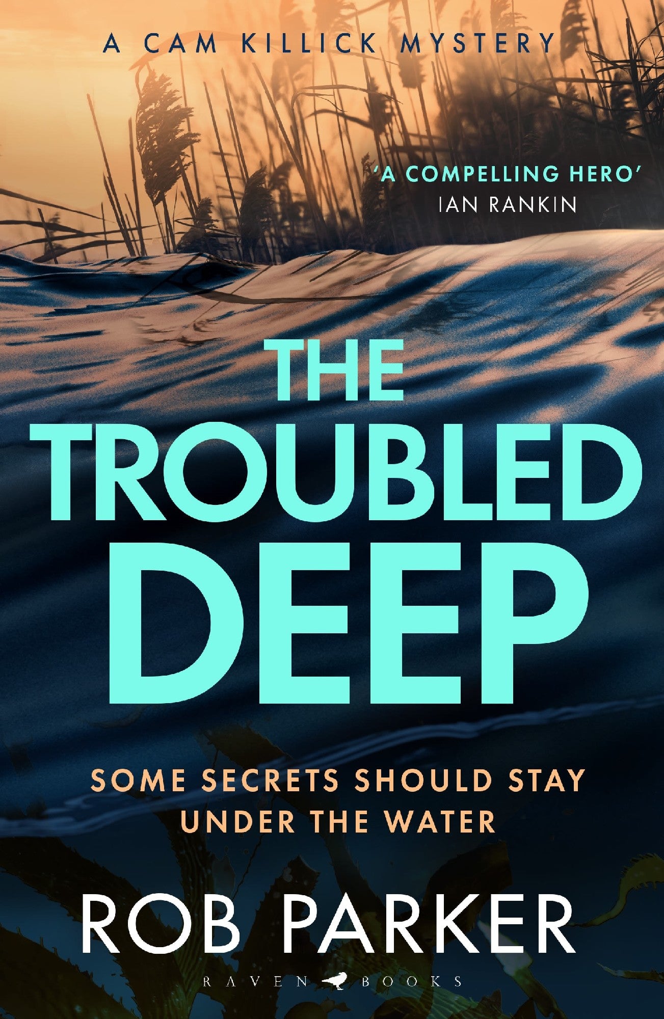 The Troubled Deep - Rob Parker