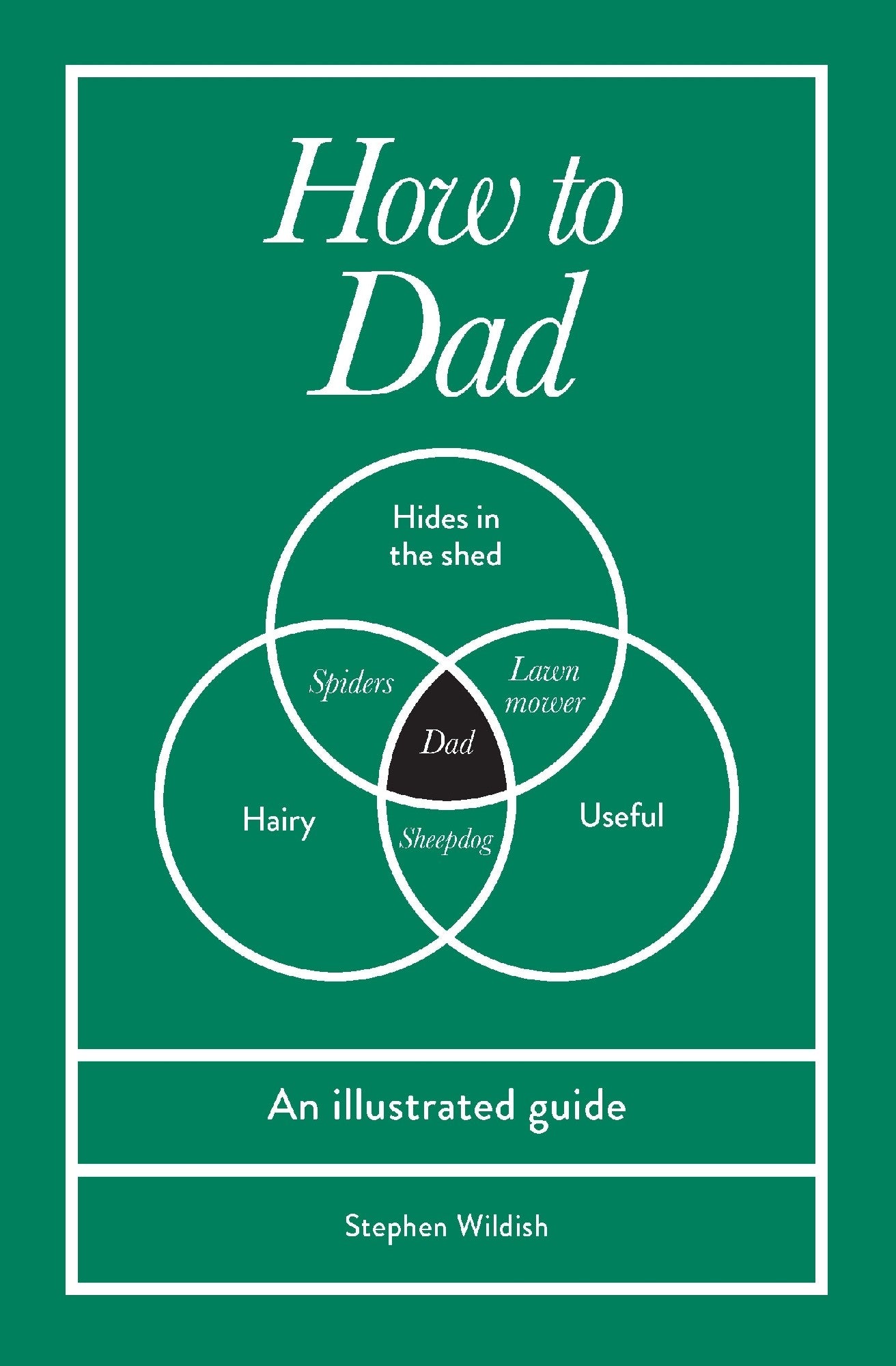 How To Dad - Stephen Wildish