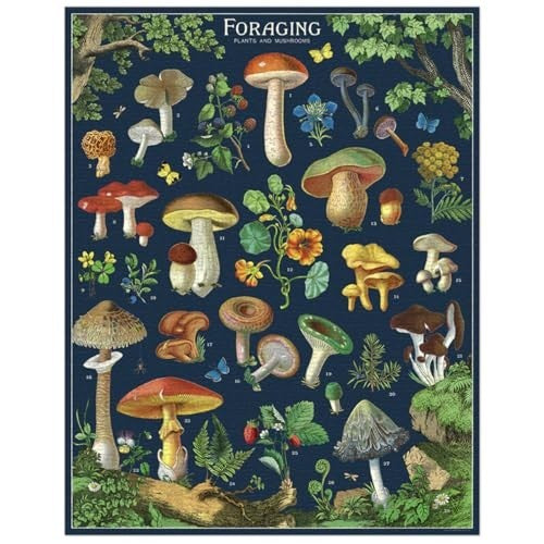 Puzzle Foraging 1000 Pieces