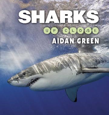 Sharks Up Close