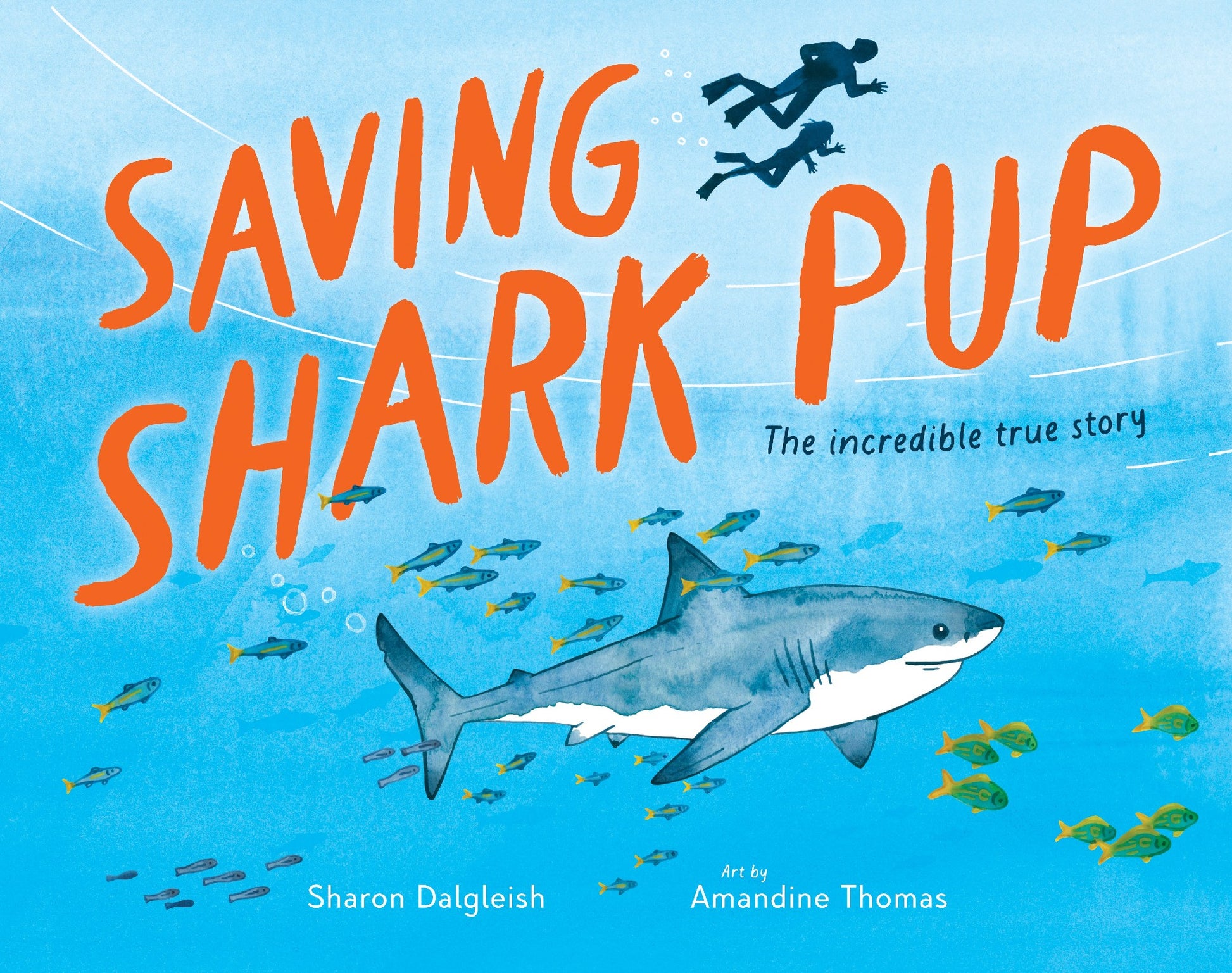 Saving Shark Pup