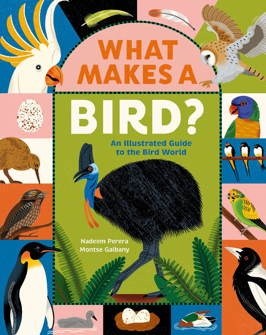 What Makes A Bird?: An Illustrated Guide To The Bird World