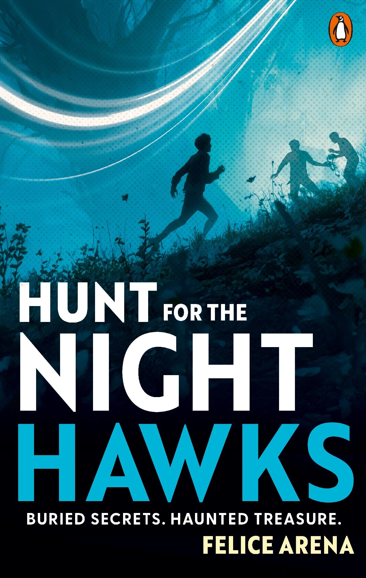 Hunt For The Nighthawks - Felice Arena