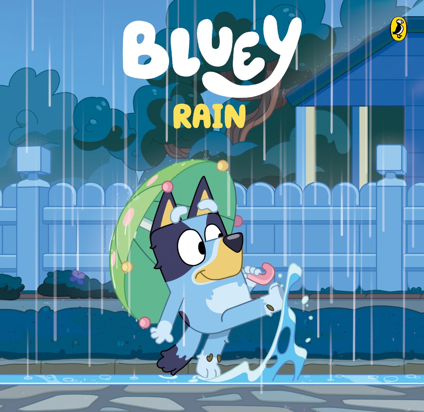 Bluey: Rain