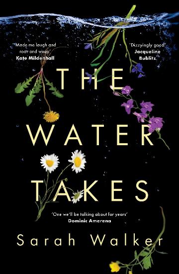 The Water Takes - Sarah Walker
