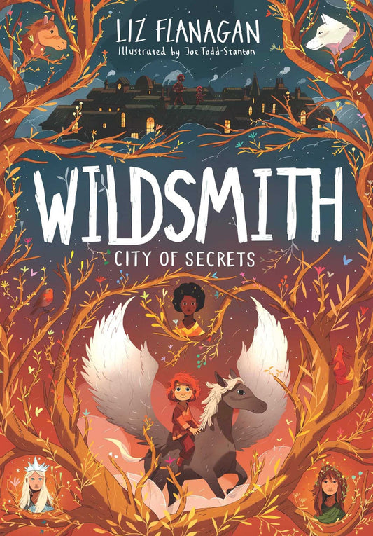 Wildsmith 2: City Of Secrets - Liz Flanagan