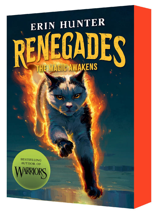 Magic Awakens (renegades: Book One)