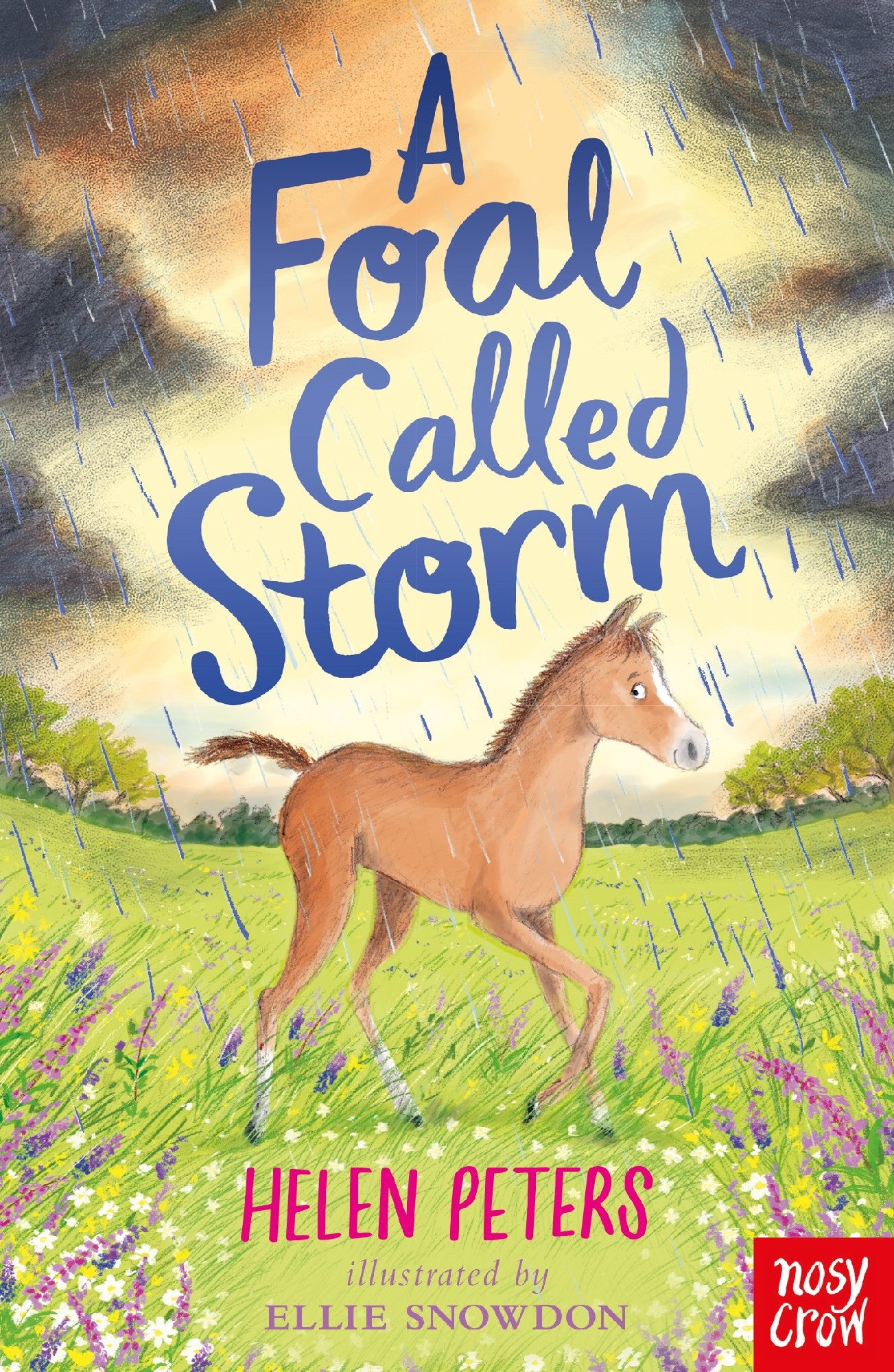 A Foal Called Storm - Helen Peters