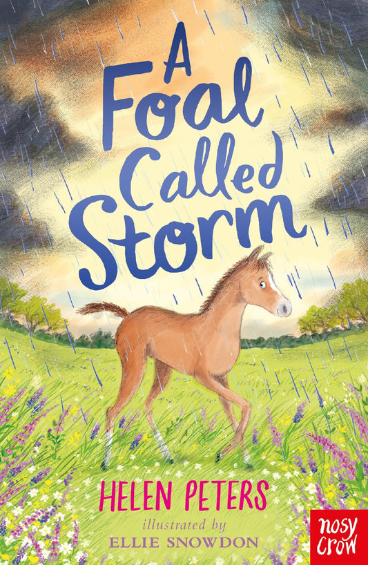 A Foal Called Storm - Helen Peters