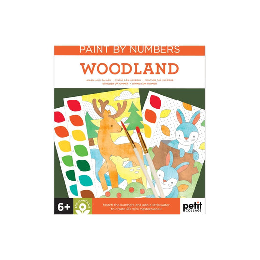 Paint By Numbers: Woodland