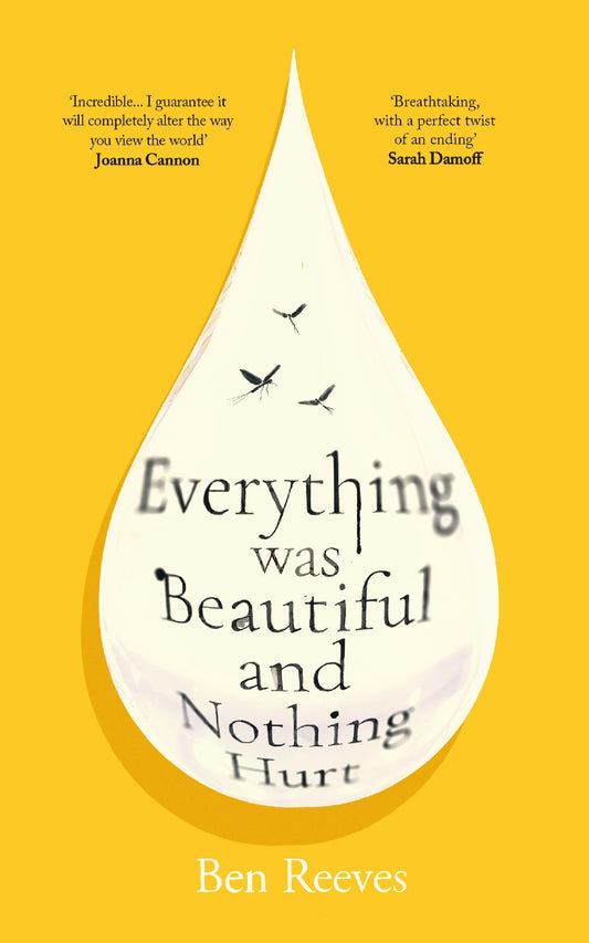 Everything Was Beautiful And Nothing Hurt - Ben Reeves