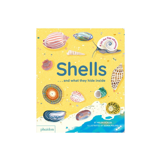 Shells... And What They Hide Inside