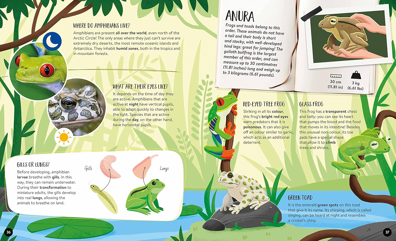 The Ultimate Atlas & Puzzle Set - Animals 3d