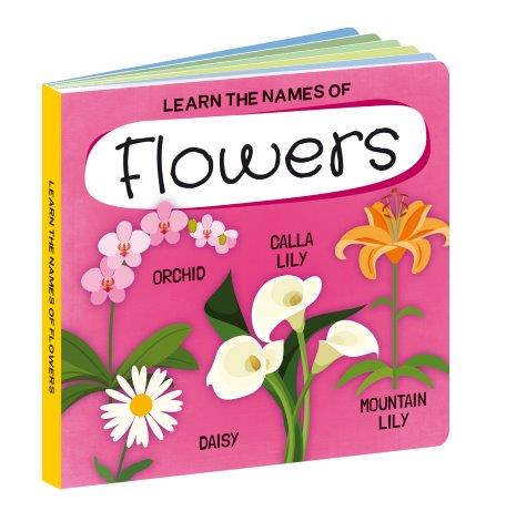 Sassi 3d Puzzle & Book Set - World Of Flowers