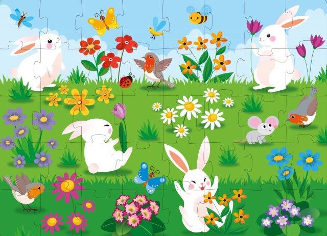 Sassi 3d Puzzle & Book Set - World Of Flowers