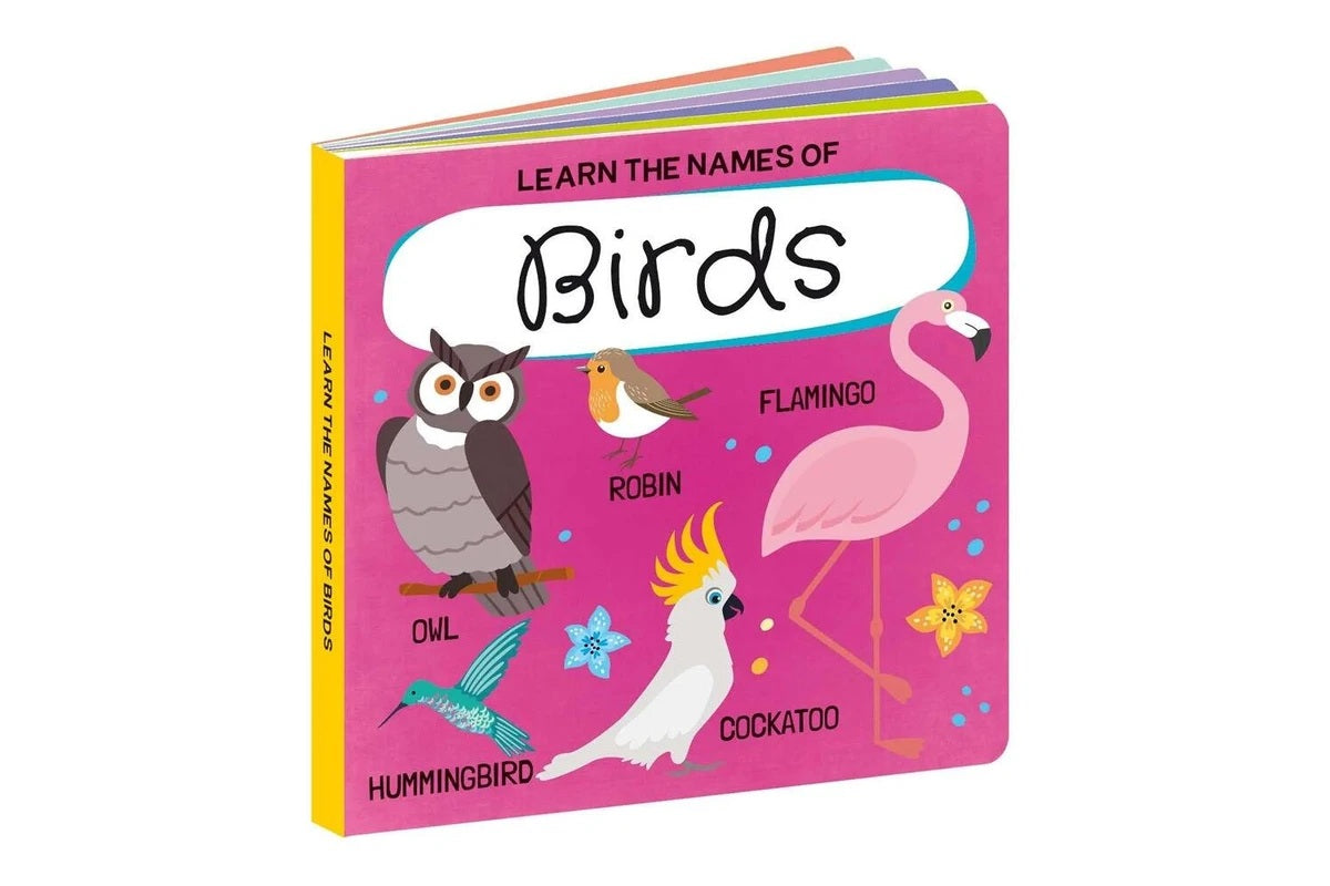Sassi 3d Puzzle And Book Set World Of Birds
