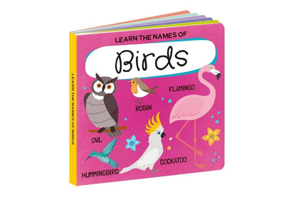 Sassi 3d Puzzle And Book Set World Of Birds