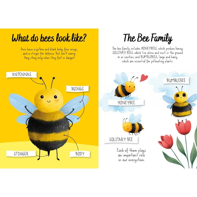 Sassi Magic Water Puzzle And Book Set - Bees