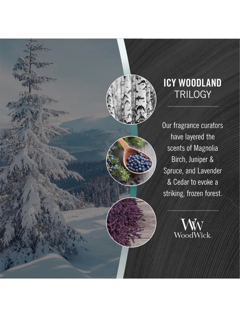 Woodwick Icy Woodland Trilogy Large Ww1720898