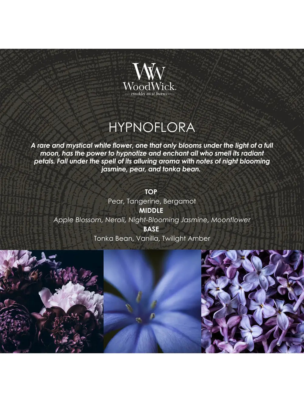 Woodwick Hypnoflora Medium Ww1759813