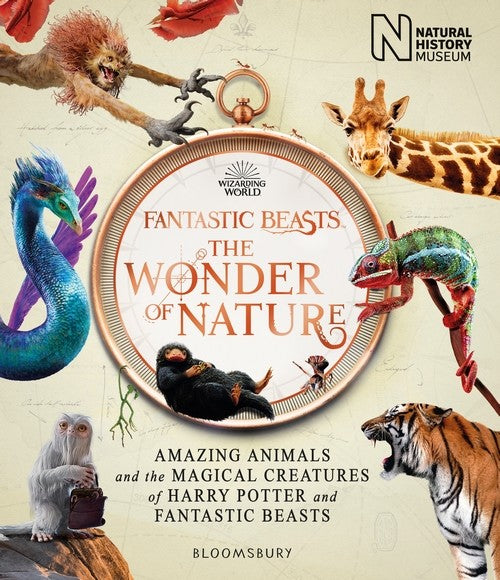 Fantastic Beasts: The Wonder Of Nature - Natural History Museum